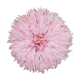 Juju hat light pink 50cm