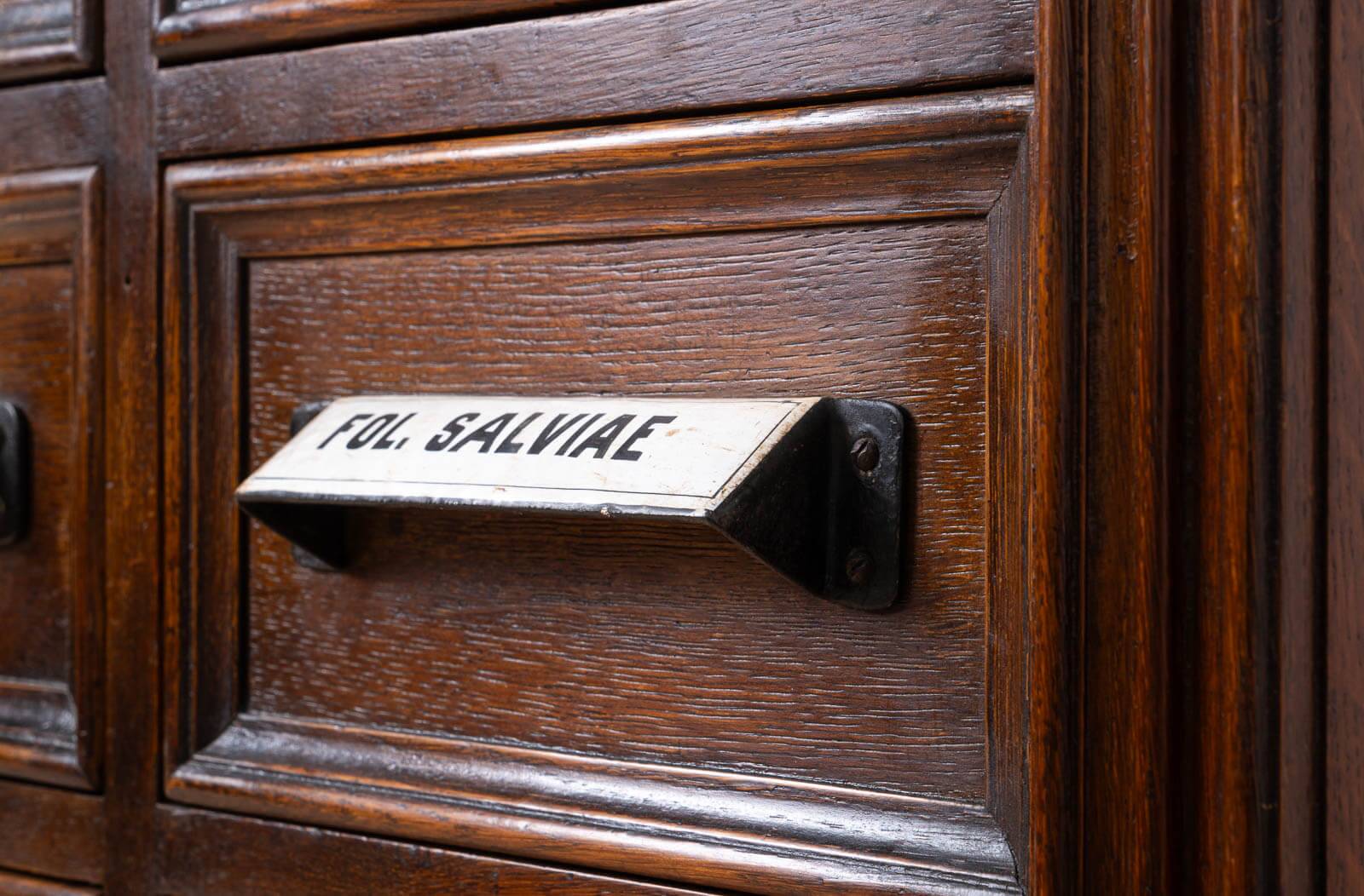 Apothecary Chest of Drawers, Solid Oak Wood, Restored, Early 20th Century