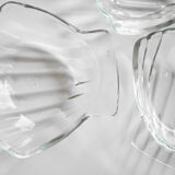 Seashell cup