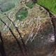 Signed glass paste vase