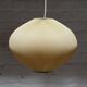 Rhodoid plastic pendant light in the style of Rispal 1960s