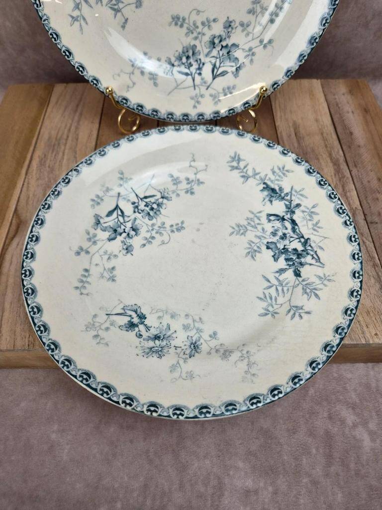 Set of 2 antique flat plates Terre de Fer – Hippolyte Boulenger & Cie – Roscoff model