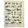Antique engraving 1897 A. Millot - Dog, breed, shepherd