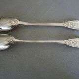 Silver metal salad cutlery, silver