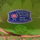 Italian green carafe Artistiche crystal.