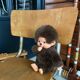 Old children's school chair wood and metal