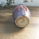 Brick red jug