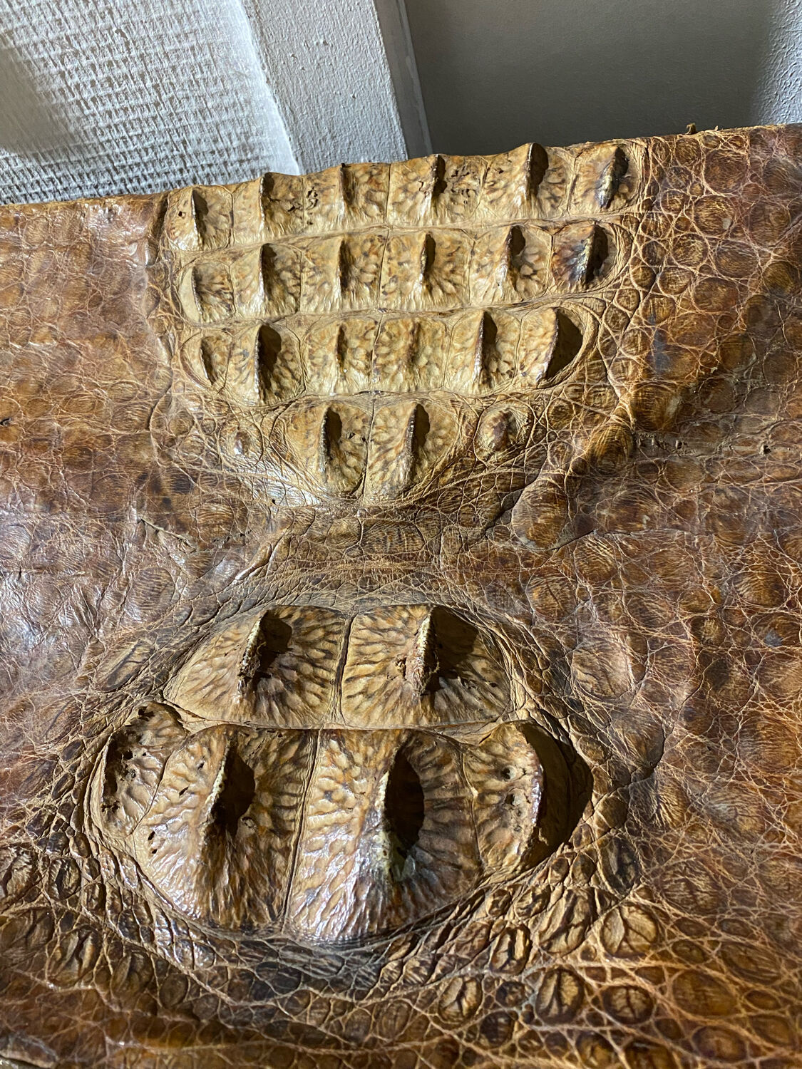 Vintage crocodile suitcase 50s