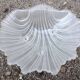 Shell-shaped catchall