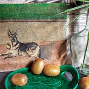 Free-form presentation dish Green Slurry 50s