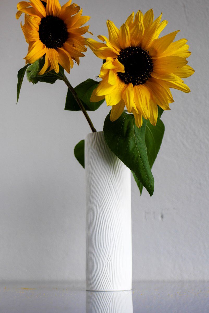 Mid-century modern Op-Art Studio Line bisque porcelain vase by Werner Schreib for Rosenthal, 1960s