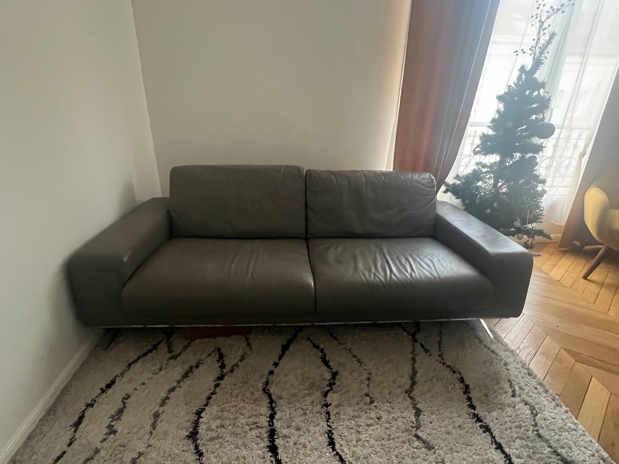Roche Bobois sofa