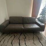 Roche Bobois sofa