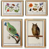 Set of 4 small posters, based on engravings from 1610