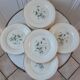 Lot de 6 assiettes Saint Amand modèle Anémone
