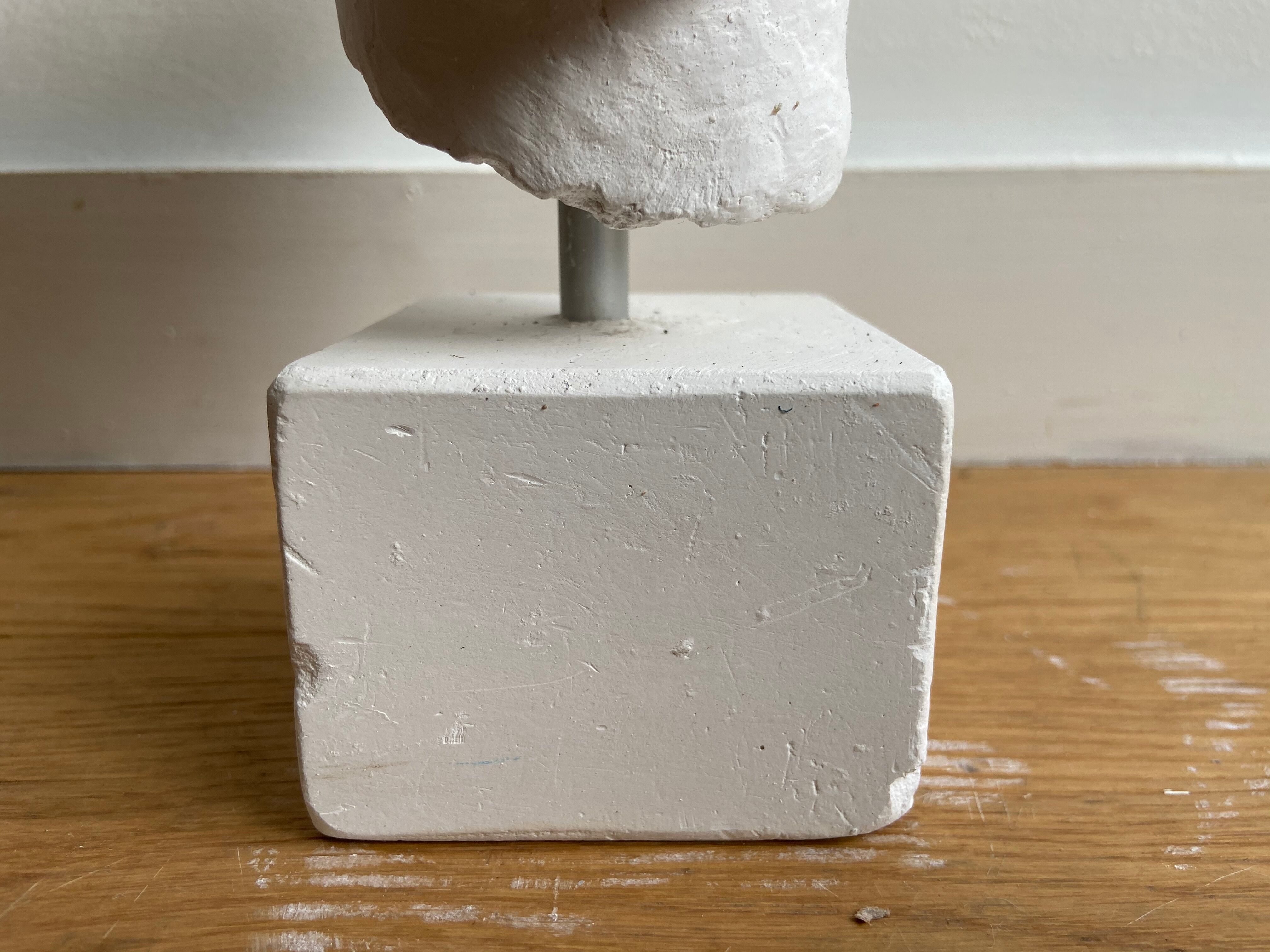 Artemis plaster head