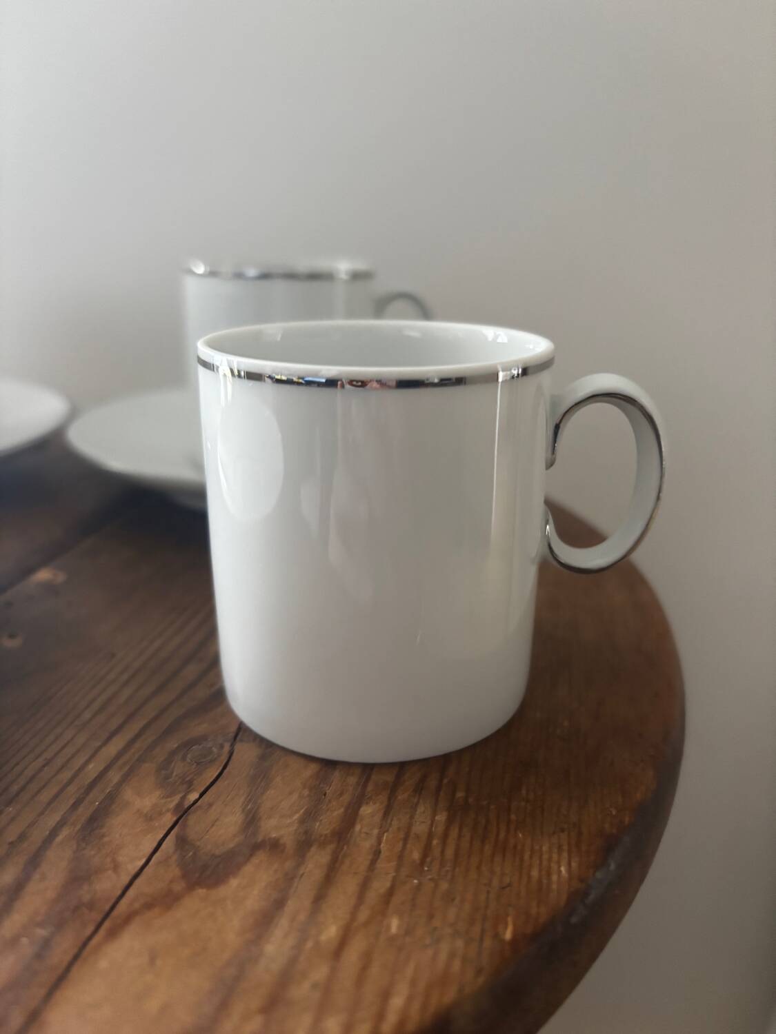 Thomas Germany Medallion Silver Rimmed Porcelain Tea Set