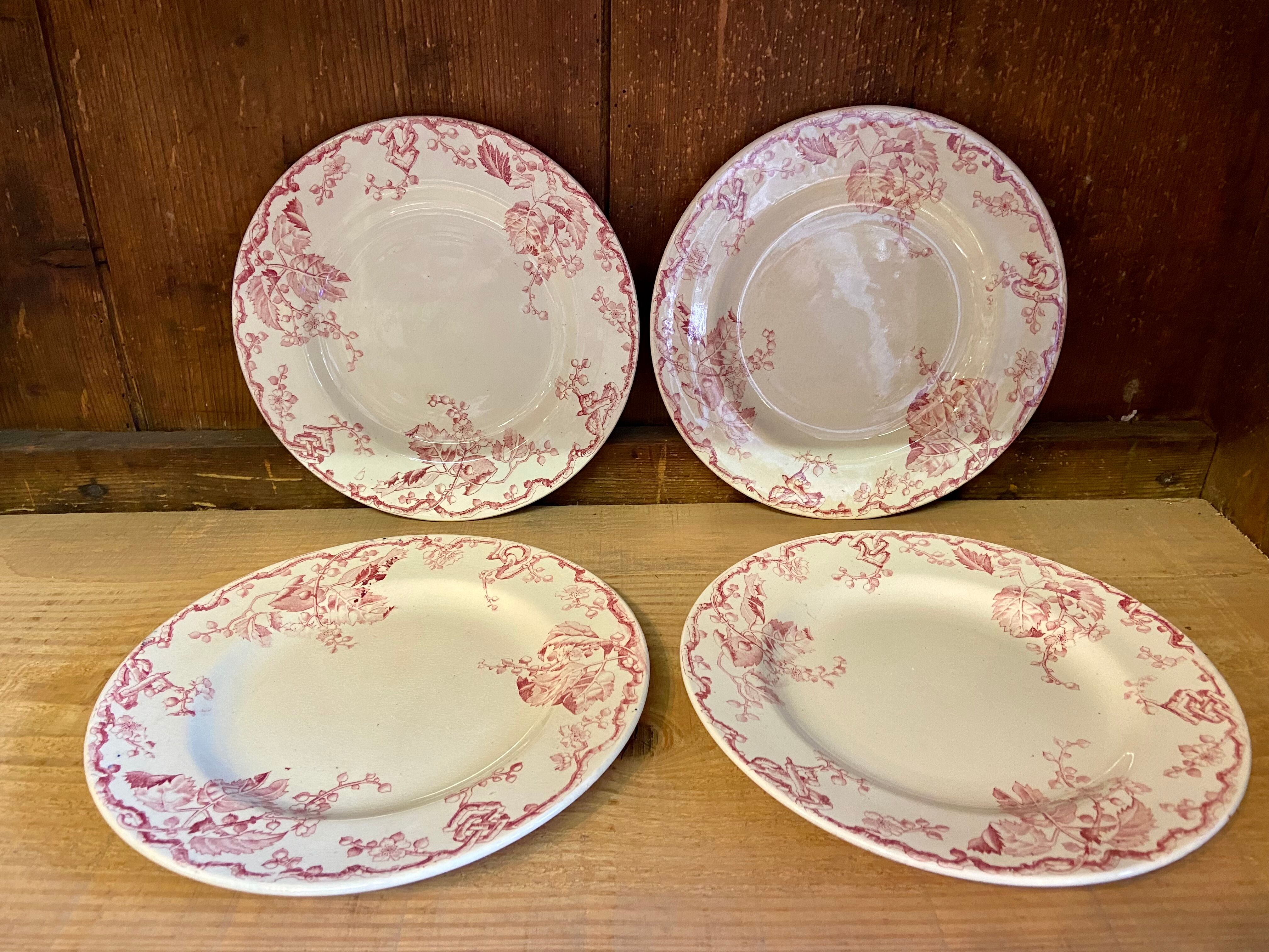 10 plates Terre de Fer Rouge