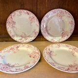 10 plates Terre de Fer Rouge