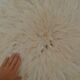 Juju hat blanc D70