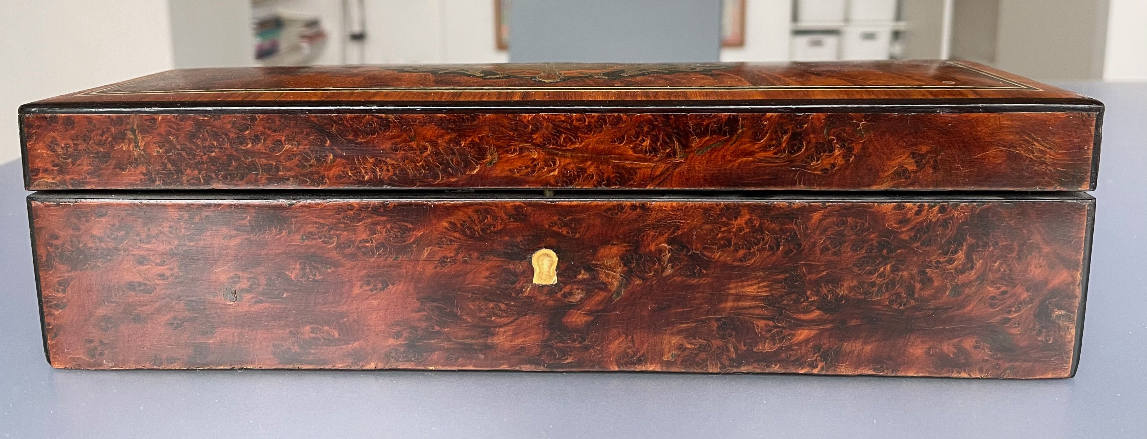 Inlaid N III glove box