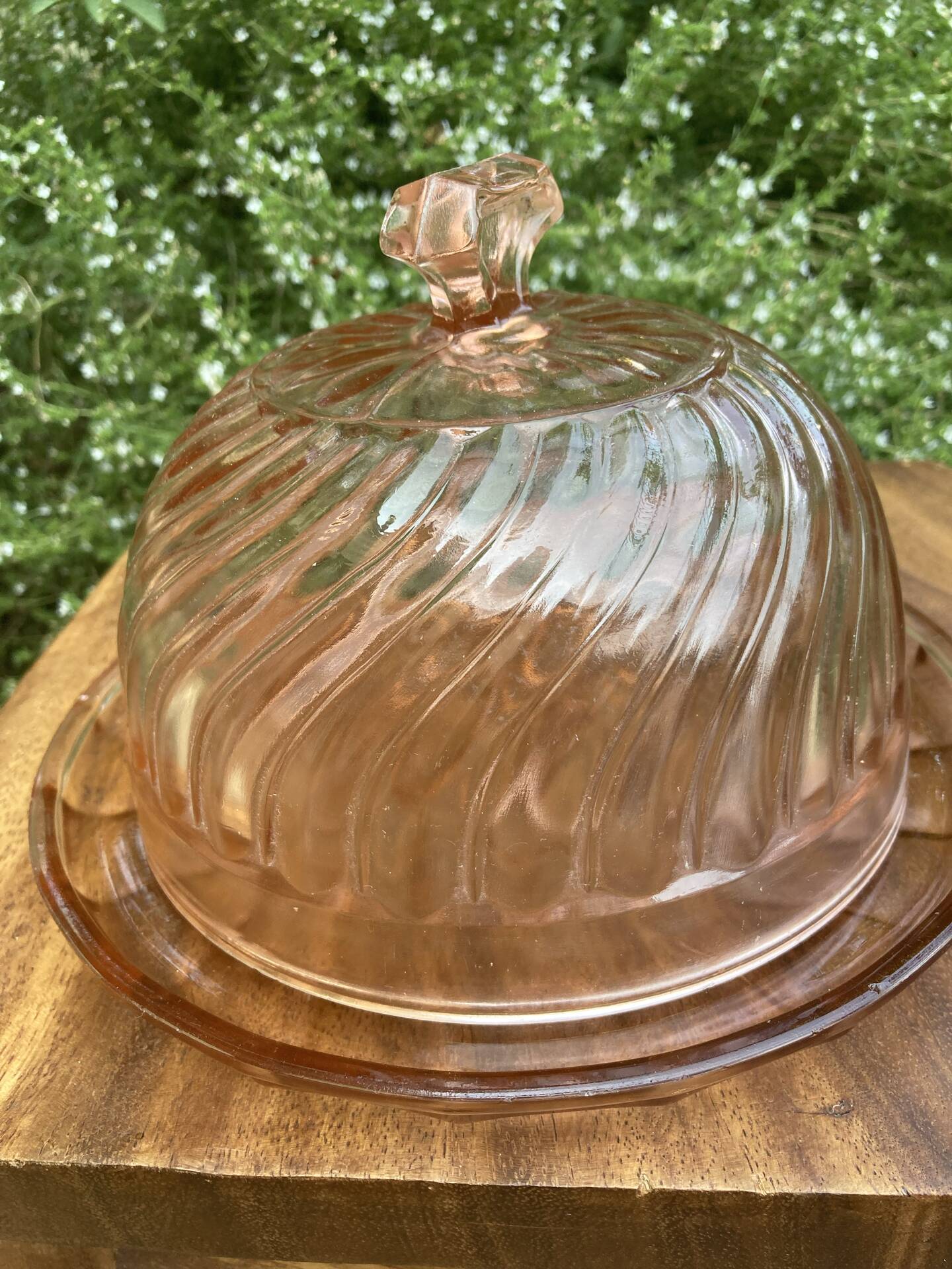 Cheese dome in Rosaline