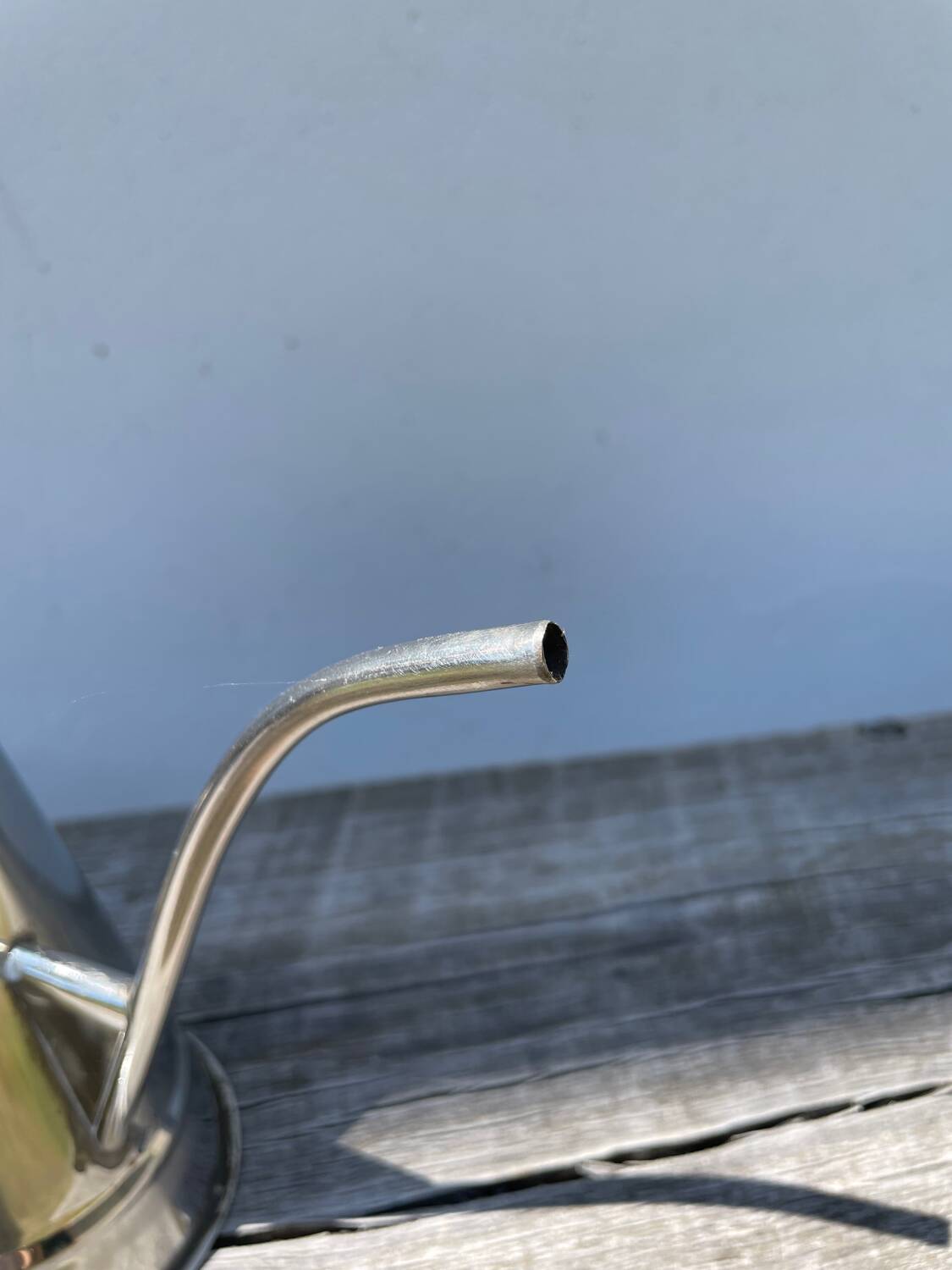 Small stainless steel watering can