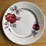 Badonvillier dinner plates