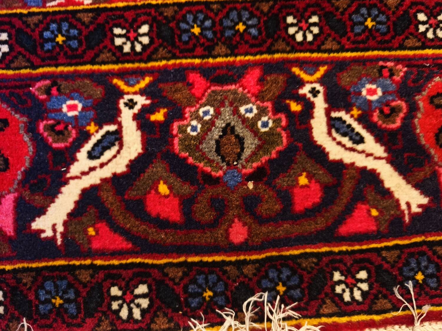 Hand-knotted Bakhtiari Persian carpet from Iran.