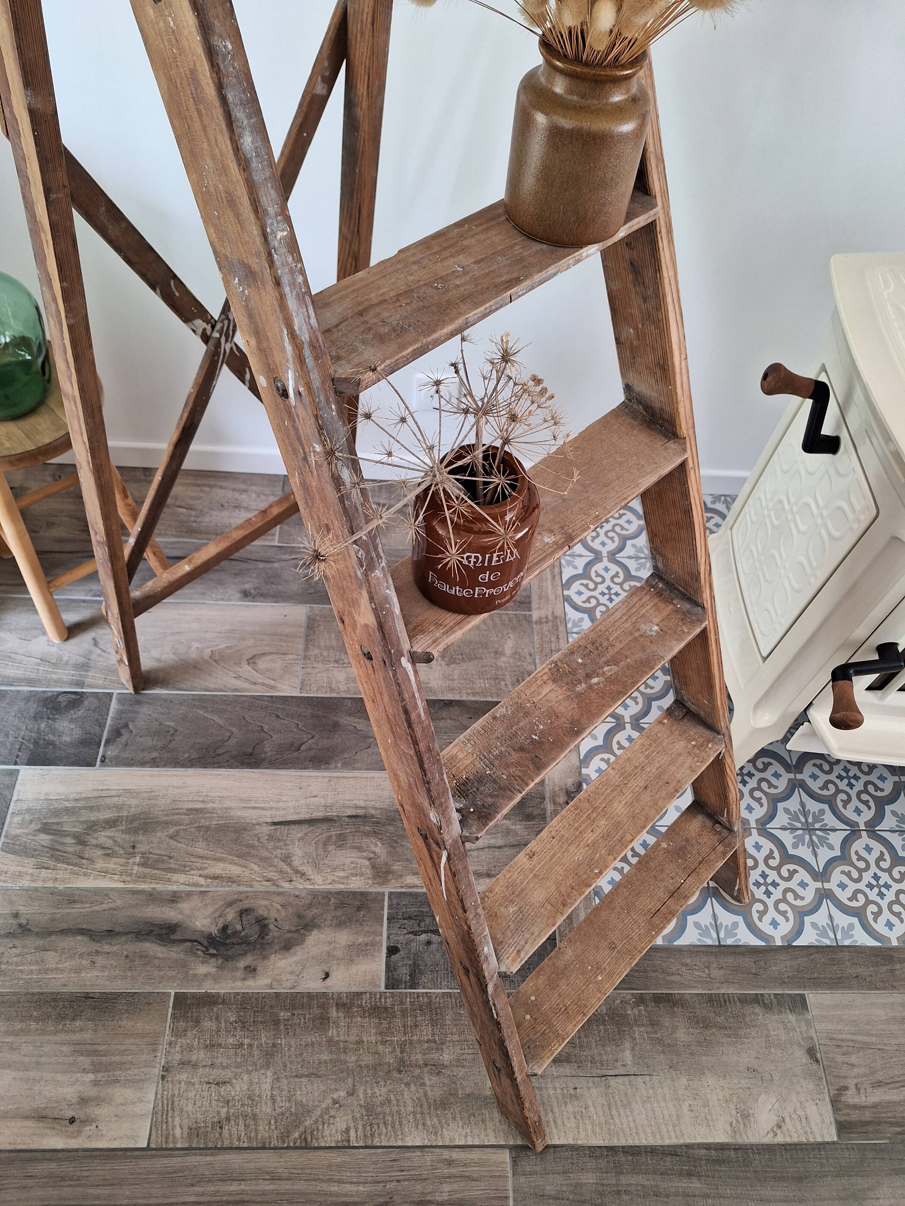 Montana painter's stepladder