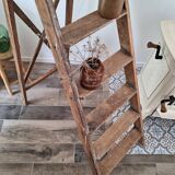 Montana painter's stepladder