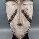 Fang mask