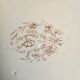 Lot plates, compotier, dish longchamp daisies iron earth