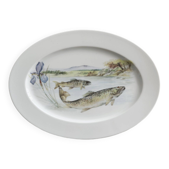 Plat de service poissons Porcelaine de Limoges.