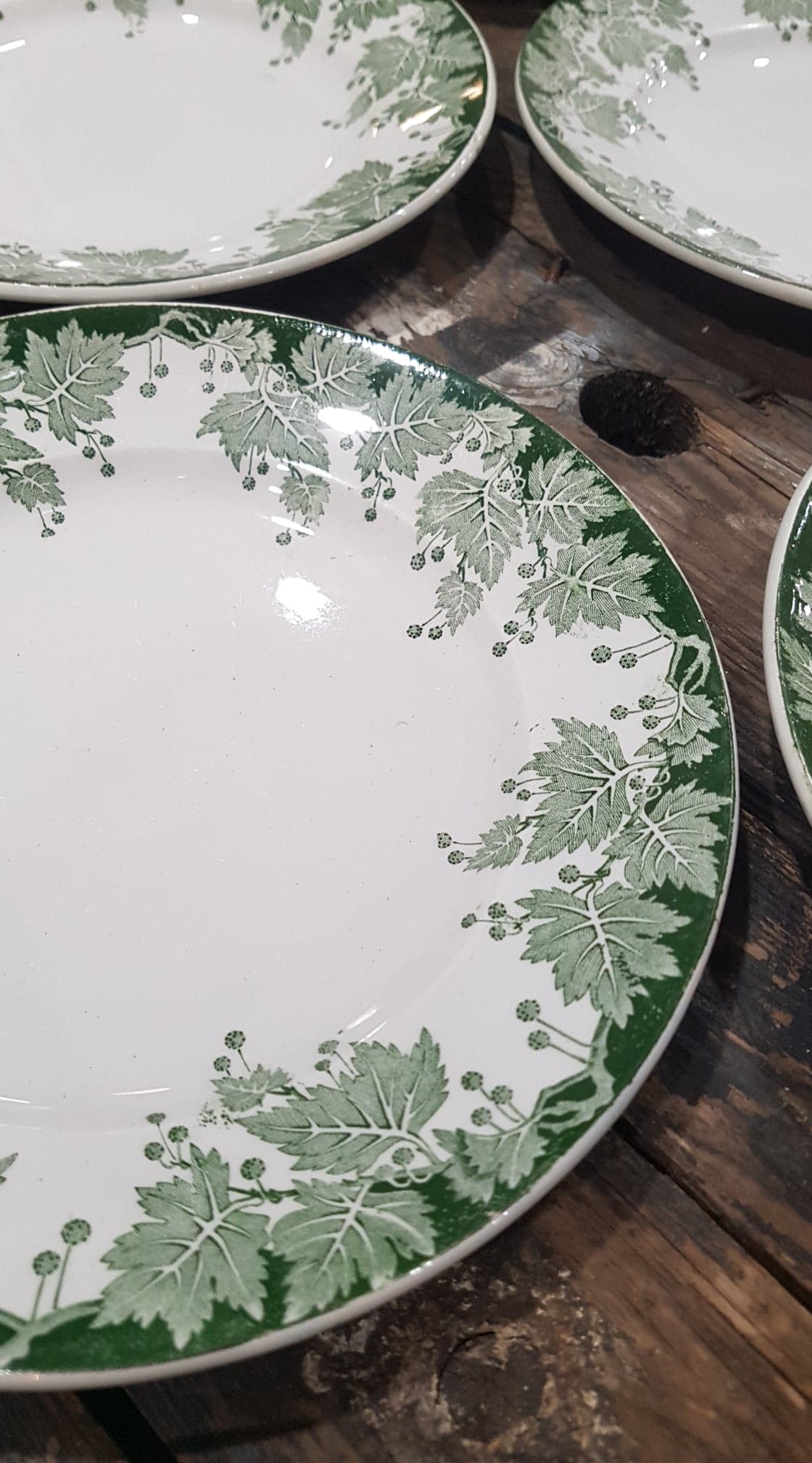Lot of 6 plates Saint-Amand and Hamage model Platane