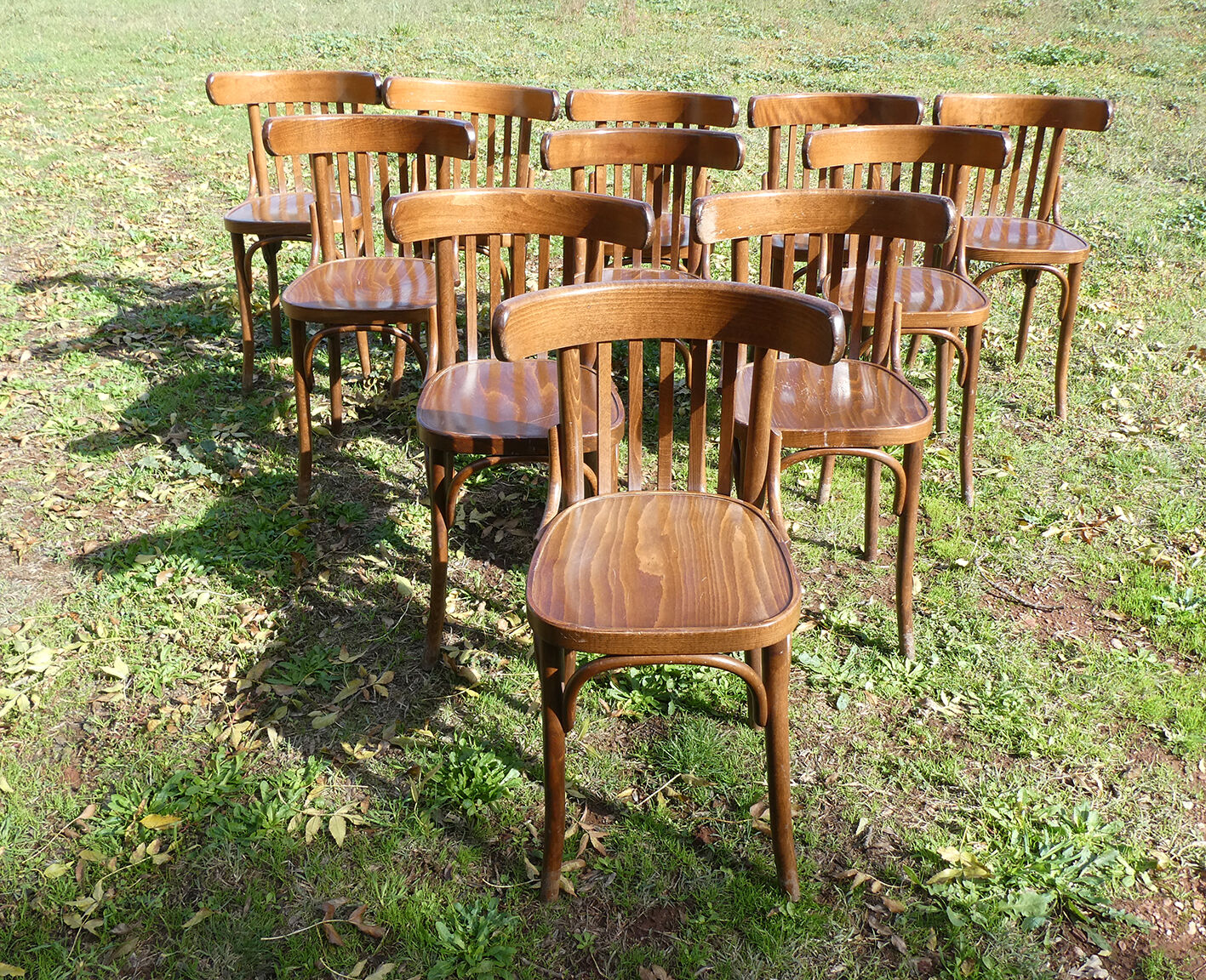 Lot of 11 vintage curved wooden bistro chairs