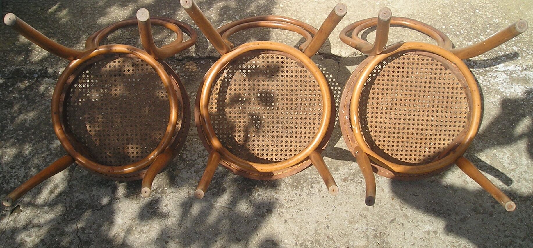 Trio of Thonet chairs late 19th model 14