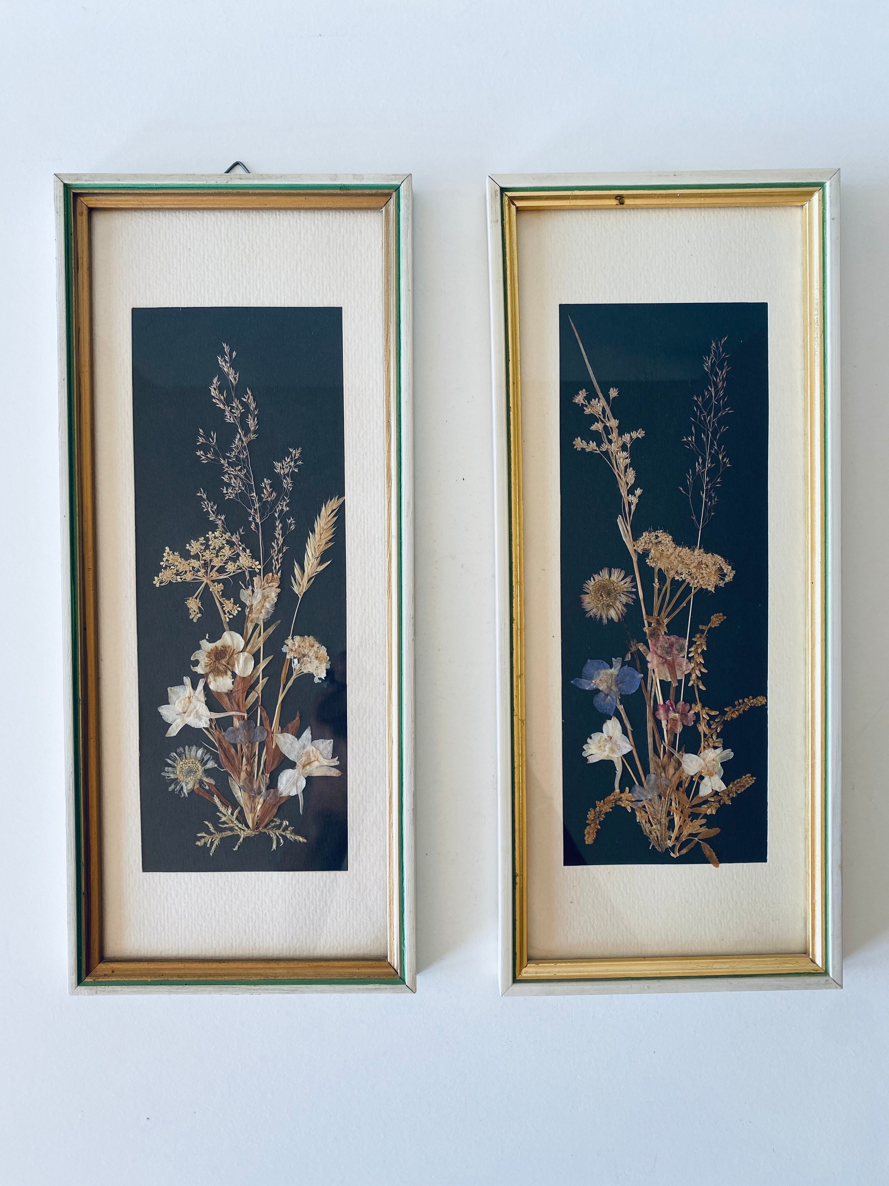 Framed seagrass beds