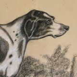 French Charcoal and white chalk drawing "English Pointer Dog Portrait",  1890s