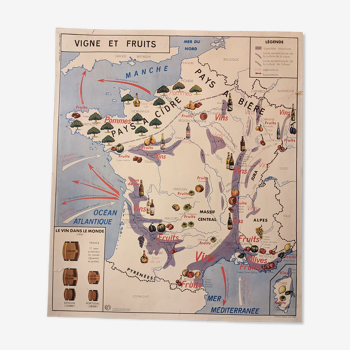 Old vintage school poster map of France vines grape variety wine and fruit