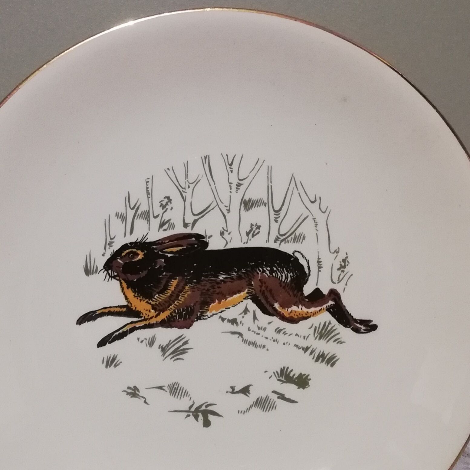 6 assiettes plates Gien Marly "animaux des forêts"
