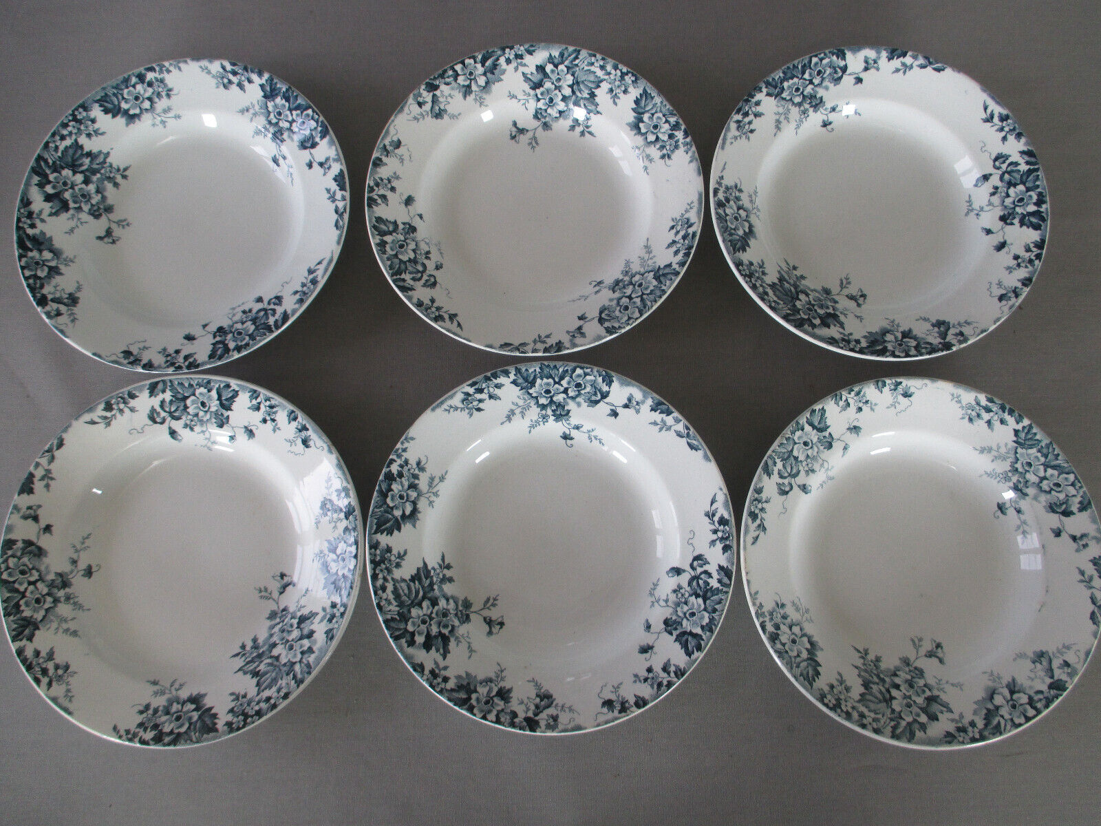 6 assiettes creuses St Amand & Hamage Marie Louise terre de fer
