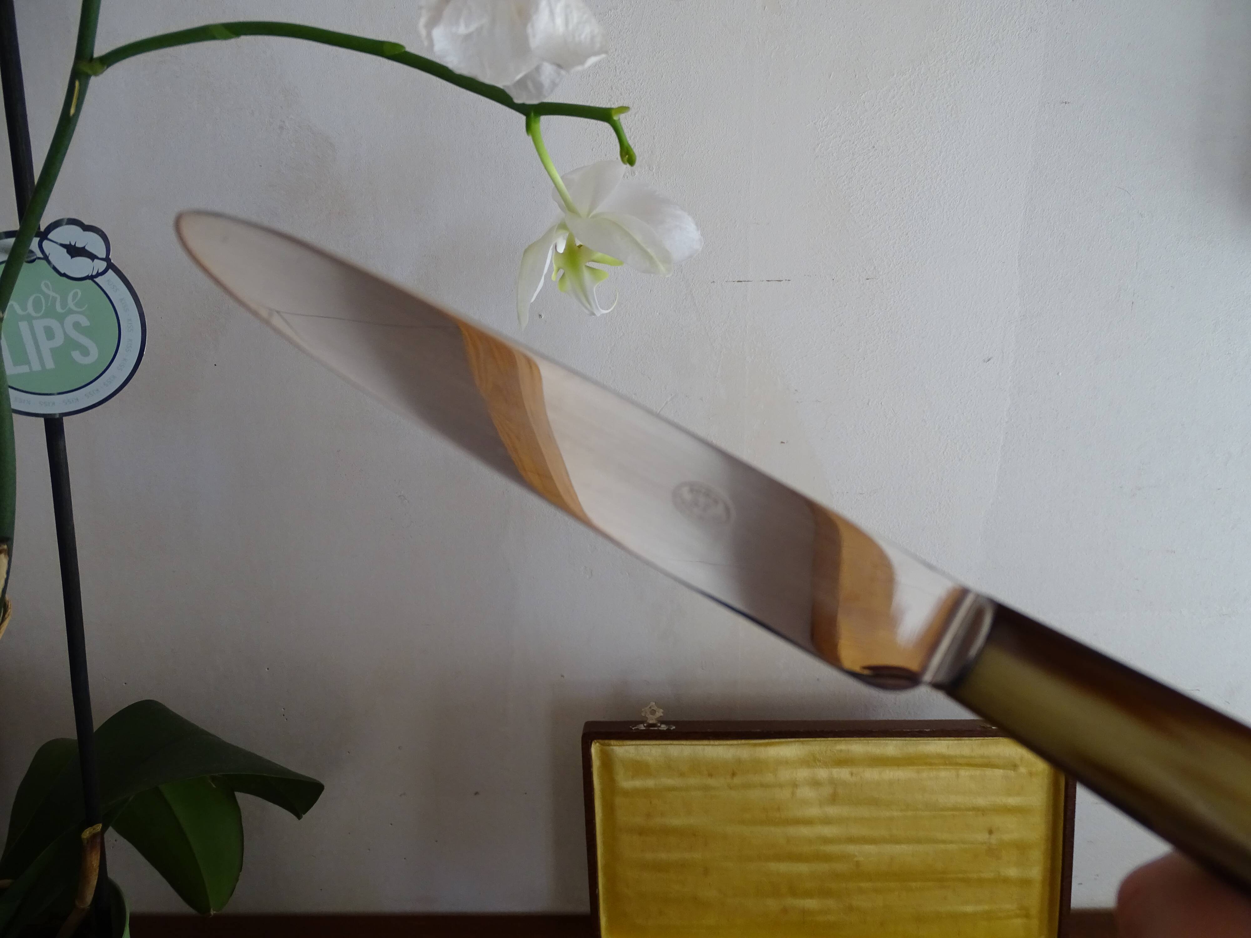 12 old Art Deco horn and stainless steel knives in case