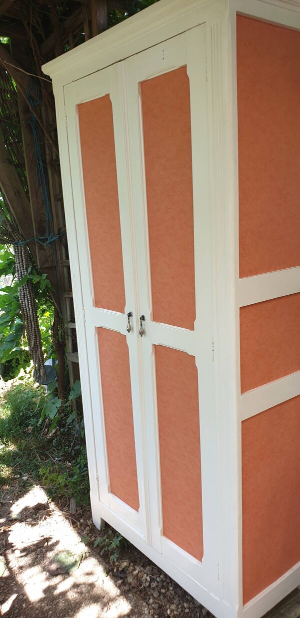 Armoire parisienne style louis XVI