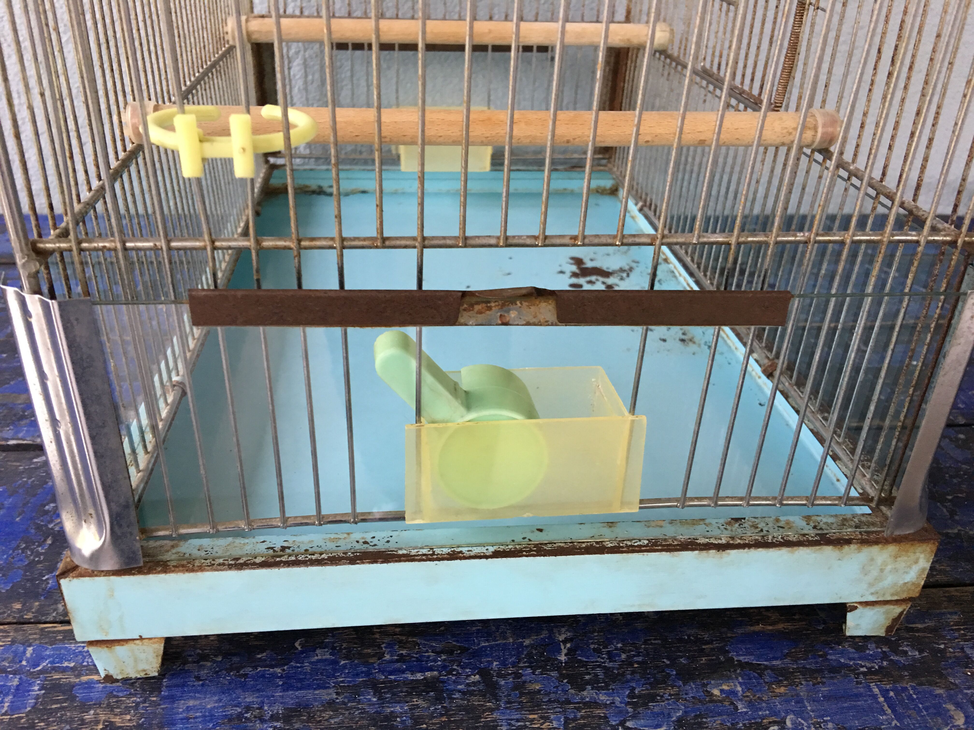 Vintage birdcage
