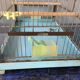 Vintage birdcage