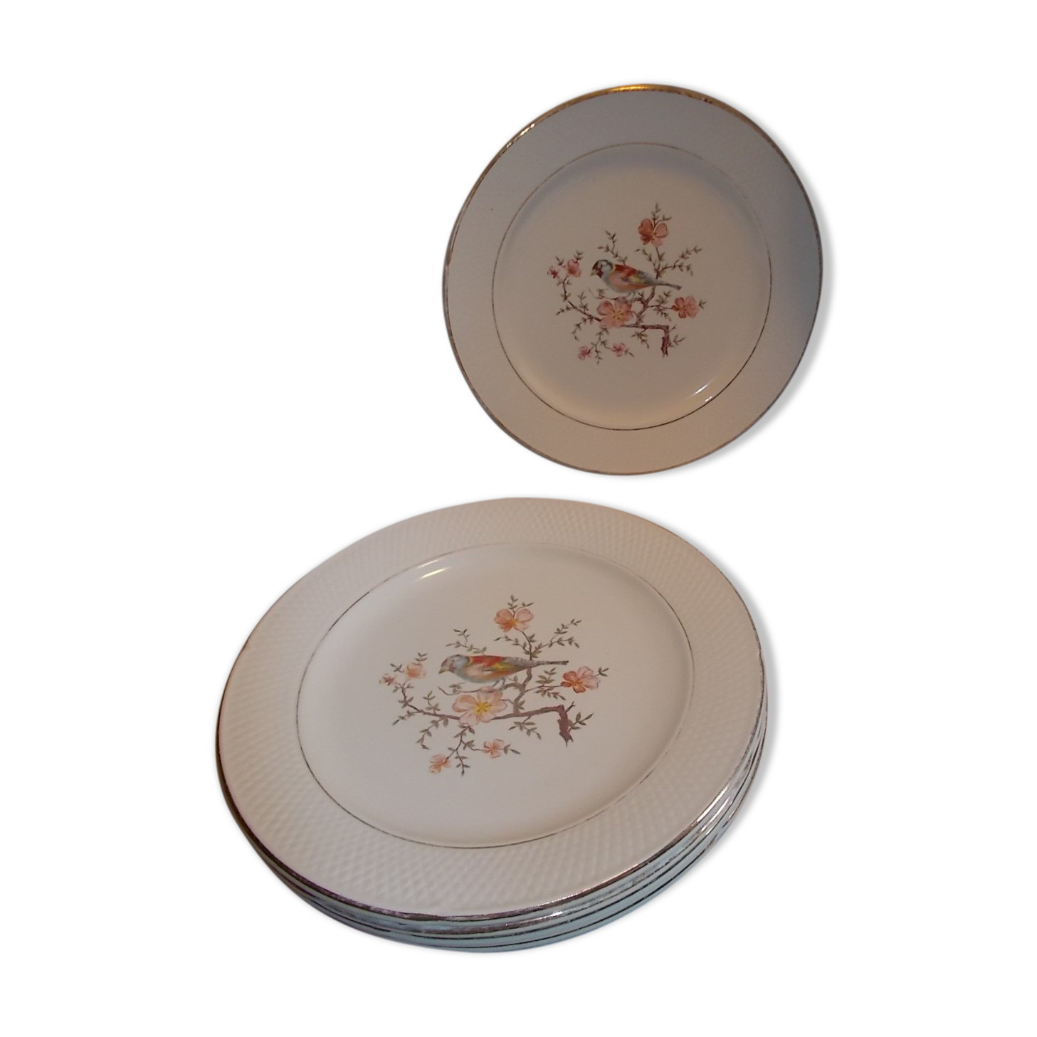 Lot 6 plates dessert saline France