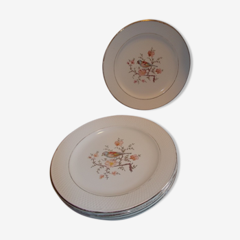 Lot 6 plates dessert saline France