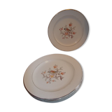Lot 6 plates dessert saline France