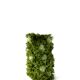 Vase Fleurs Vert
